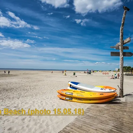 Beachview Papiniidu *